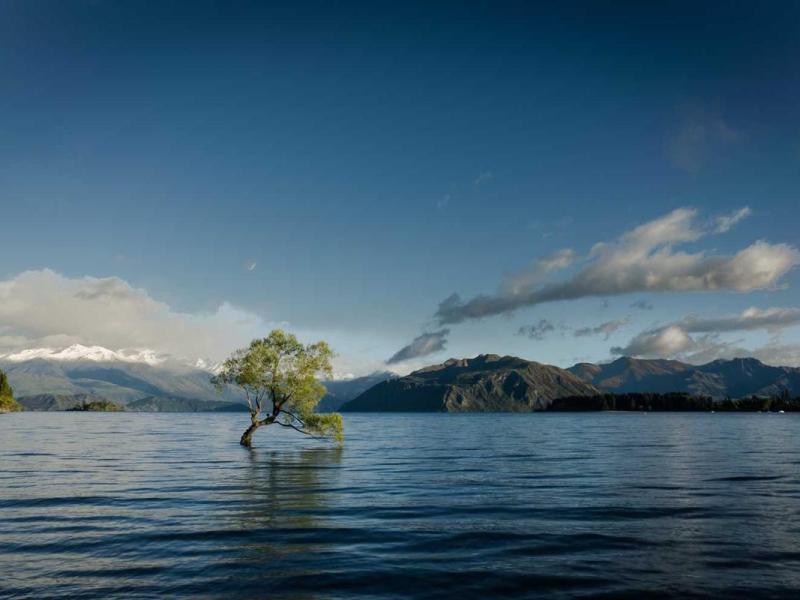 Hendrerit feugiat ut dictumst sodales orci imperdiet arcu semper a duis blandit