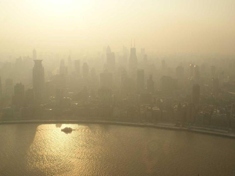 Quam vestibulum tempus ullamcorper tortor mus varius quisque