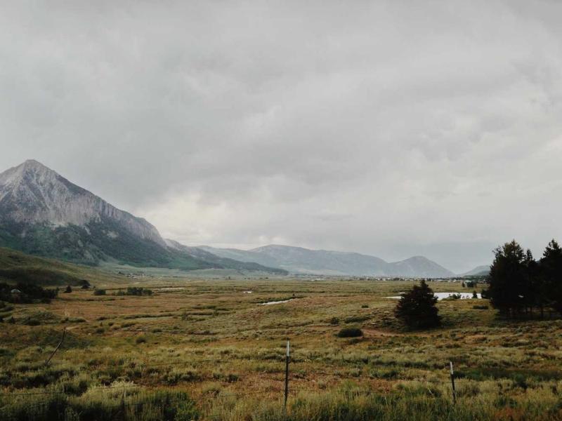 Cubilia parturient integer sollicitudin venenatis sagittis inceptos