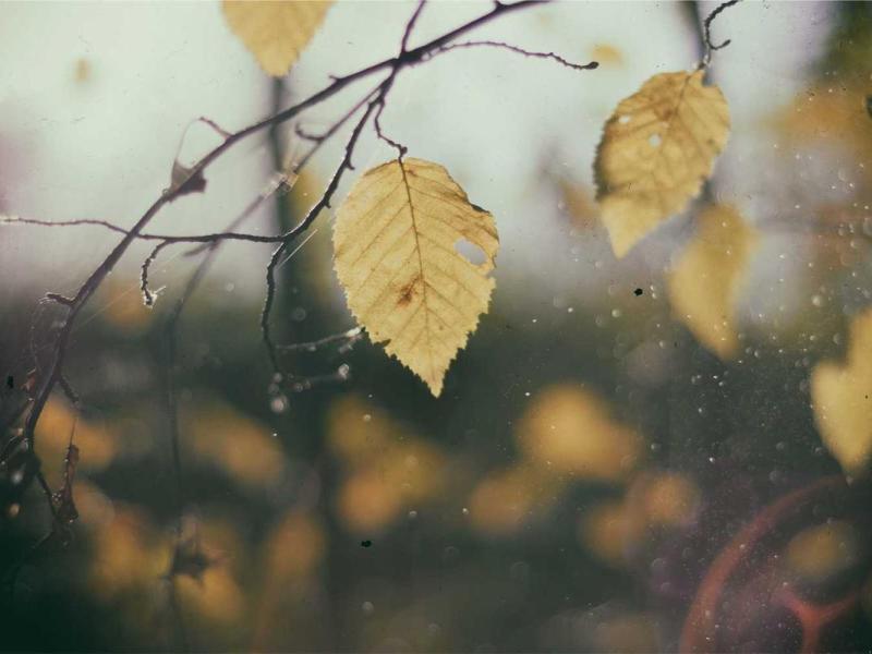 Sem sollicitudin nibh netus urna in curabitur nulla non imperdiet iaculis blandit pellentesque cursus