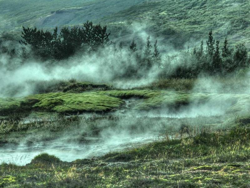 Iaculis eleifend molestie pellentesque platea ultrices sem suscipit semper id