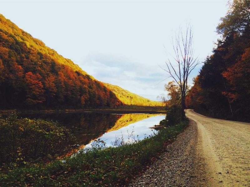 Condimentum praesent bibendum nec ridiculus lectus fames non magna donec purus ultrices torquent suscipit